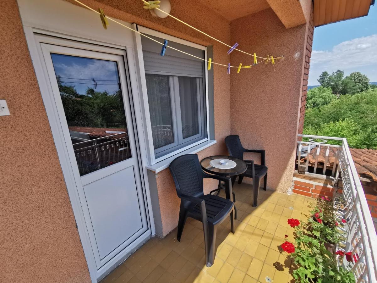 Apartments Domacinstvo Nikolic Valjevo Exterior photo